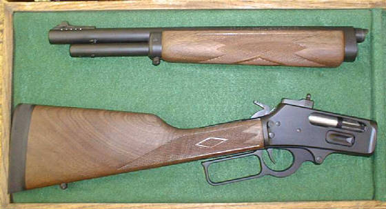 Takedown Lever Action